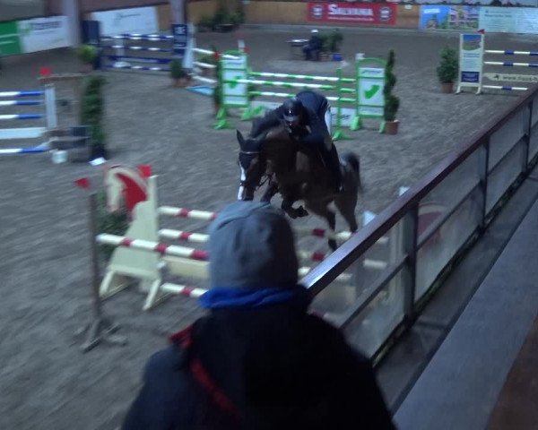 Reitturnier Hamburg-Friedrichshulde 2017