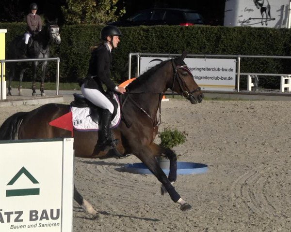 Reitturnier Durmersheim-Hardt 2021