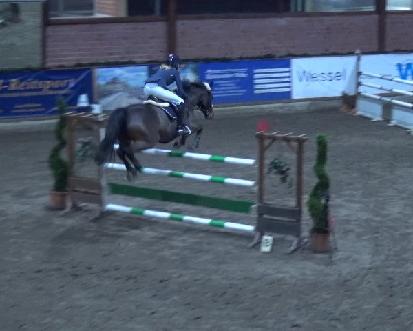 Reitturnier Hamburg-Friedrichshulde 2017
