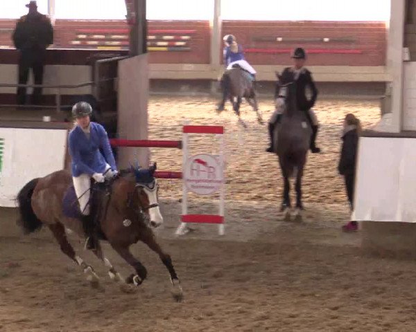 Reitturnier Alt Marl 2017