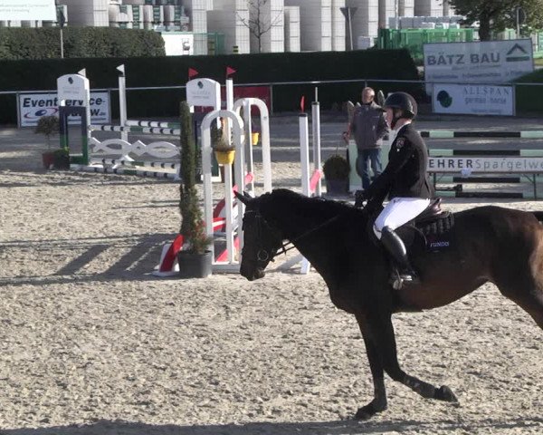 Reitturnier Durmersheim-Hardt 2021