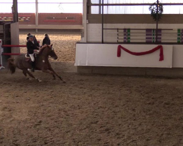 Reitturnier Alt Marl 2017