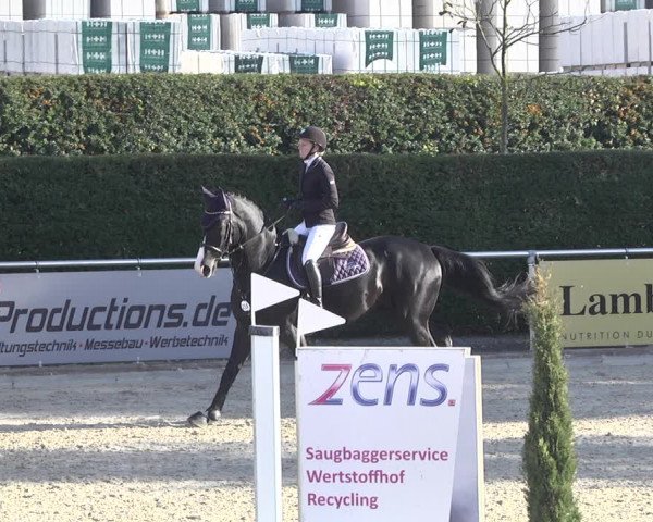 Reitturnier Durmersheim-Hardt 2021