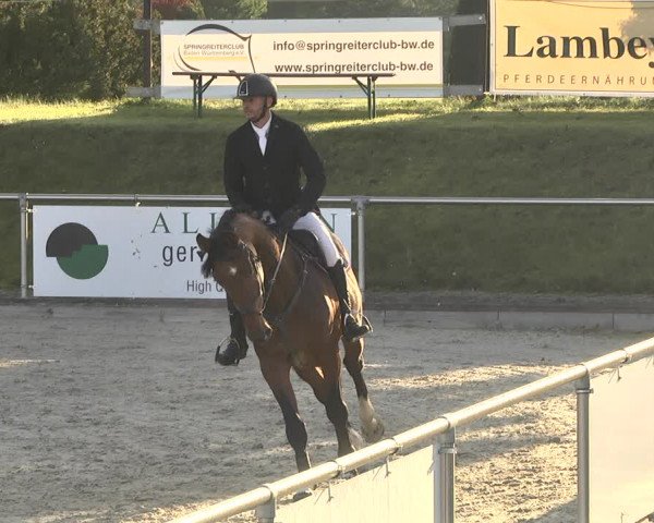 Reitturnier Durmersheim-Hardt 2021