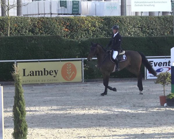 Reitturnier Durmersheim-Hardt 2021