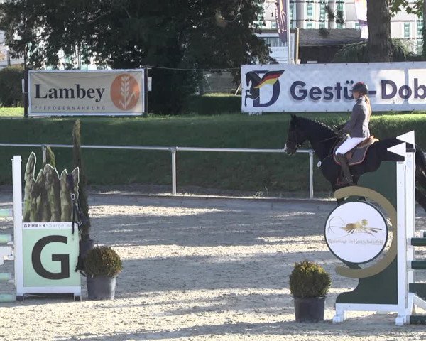 Reitturnier Durmersheim-Hardt 2021
