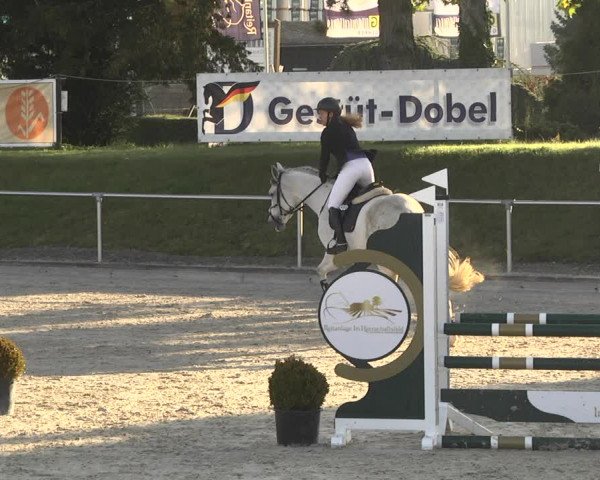 Reitturnier Durmersheim-Hardt 2021