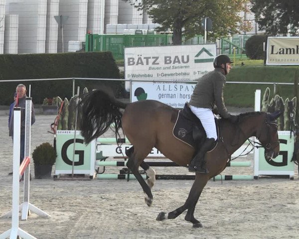 Reitturnier Durmersheim-Hardt 2021