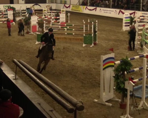Reitturnier Alt Marl 2017