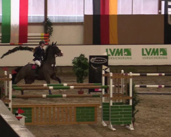 Reitturnier Alt Marl 2017
