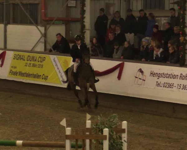 Reitturnier Alt Marl 2017