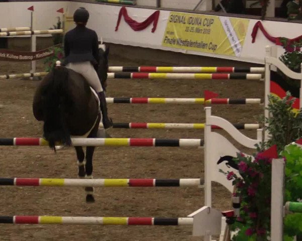Reitturnier Alt Marl 2017