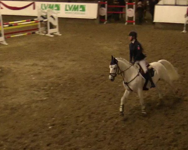 Reitturnier Alt Marl 2017