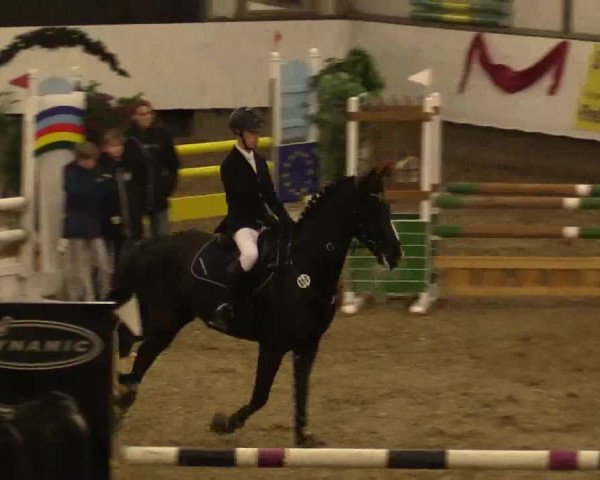 Reitturnier Alt Marl 2017