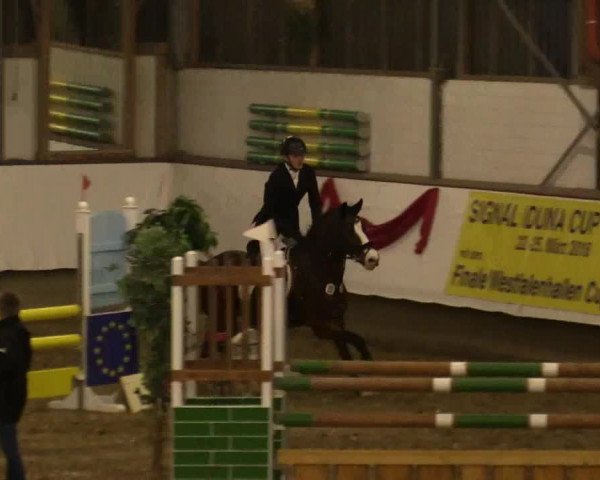 Reitturnier Alt Marl 2017