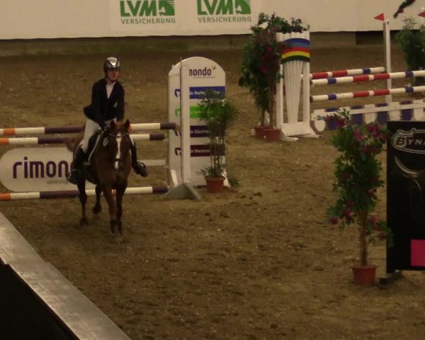 Reitturnier Alt Marl 2017