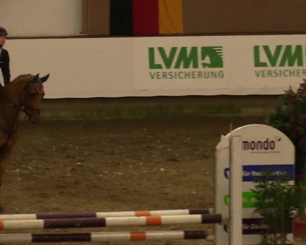Reitturnier Alt Marl 2017