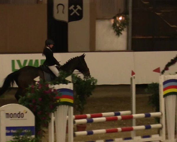 Reitturnier Alt Marl 2017