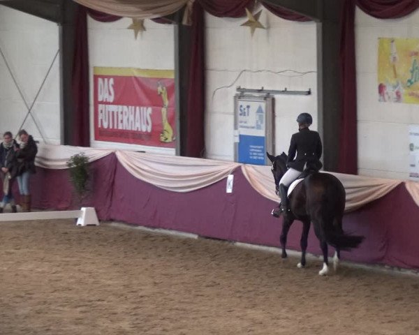Reitturnier Eppelheim 2018
