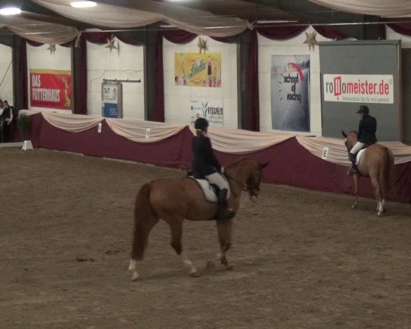 Reitturnier Eppelheim 2018