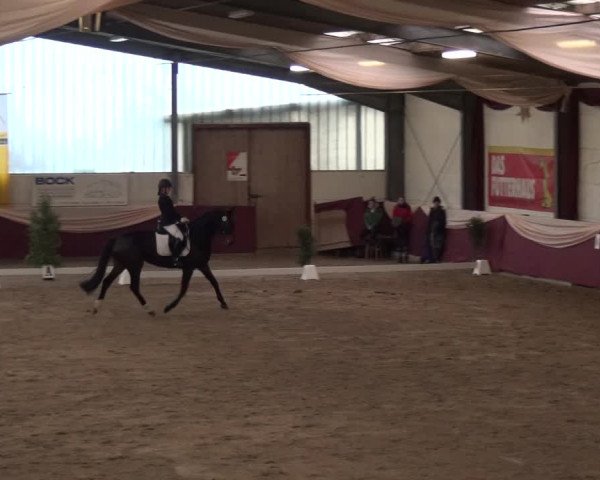 Reitturnier Eppelheim 2018