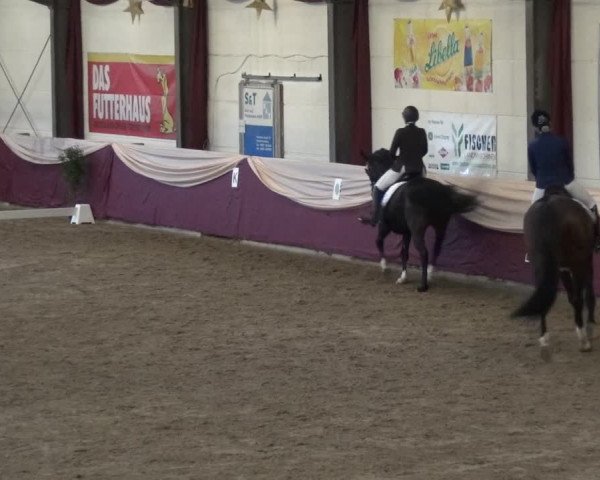 Reitturnier Eppelheim 2018