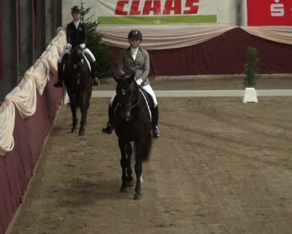Reitturnier Eppelheim 2018