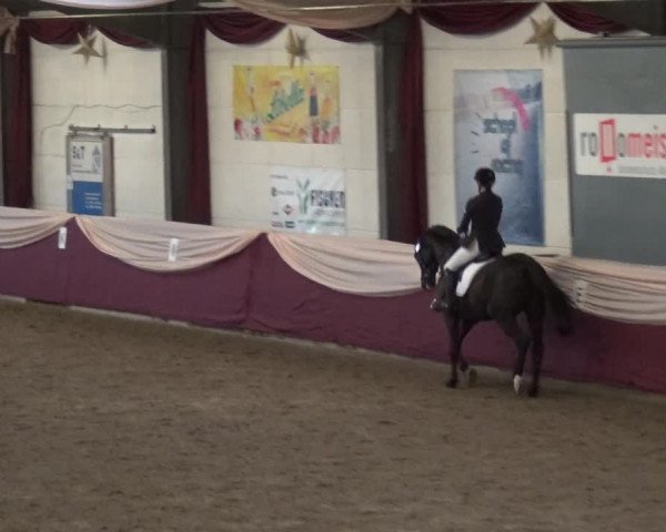 Reitturnier Eppelheim 2018