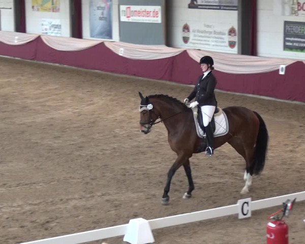 Reitturnier Eppelheim 2018