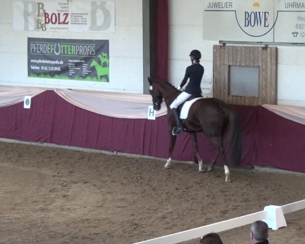 Reitturnier Eppelheim 2018