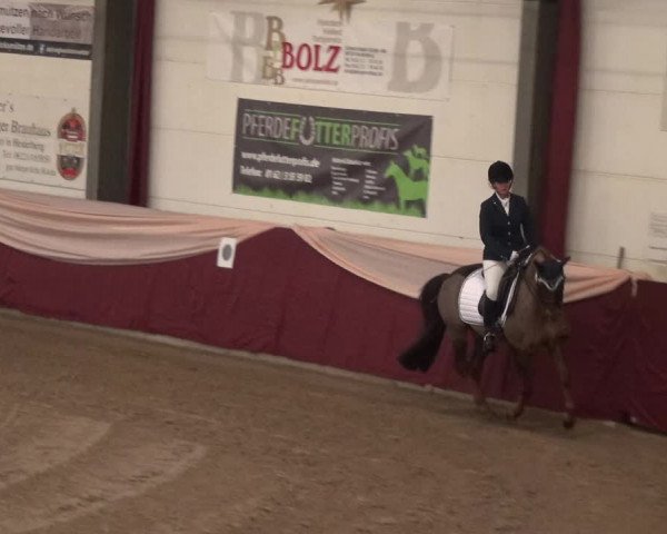 Reitturnier Eppelheim 2018