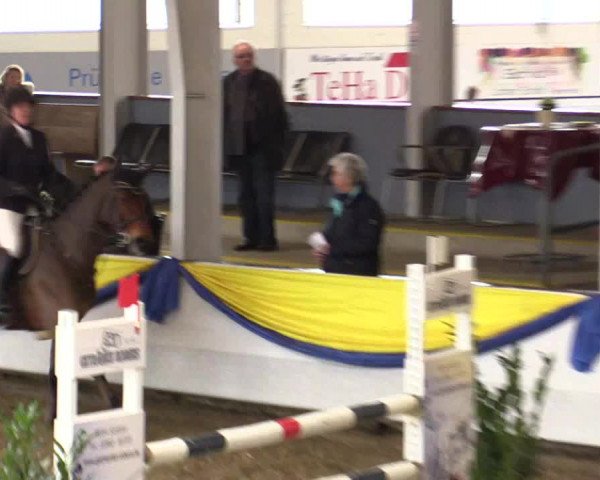 Reitturnier Vreden 2018