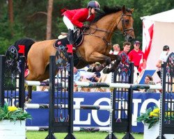jumper Anno-05 (KWPN (Royal Dutch Sporthorse), 2005)