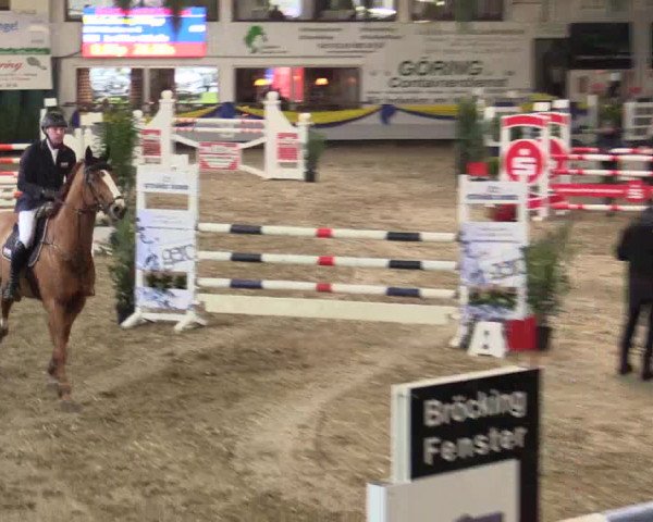 Reitturnier Vreden 2018