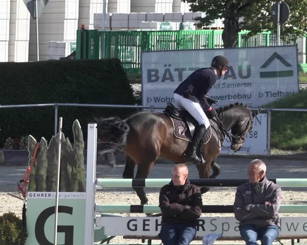 Reitturnier Durmersheim-Hardt 2021