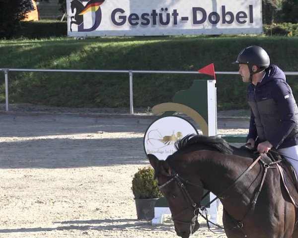 Reitturnier Durmersheim-Hardt 2021