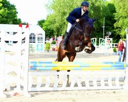 Springpferd La Petite 63 (Rheinländer, 2009, von Lorgos GL)