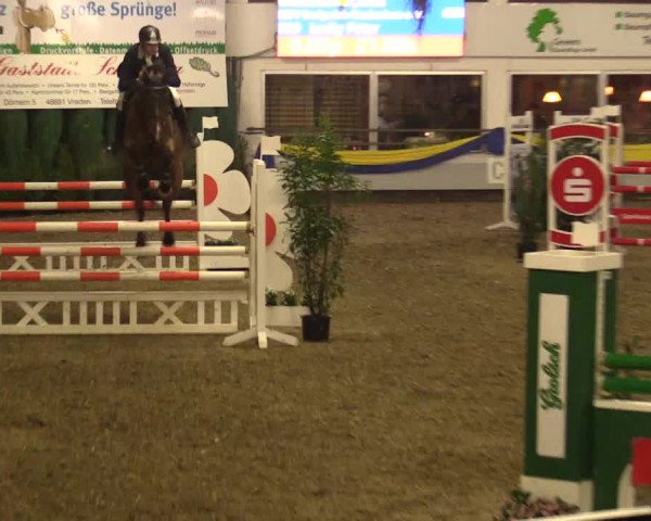 Reitturnier Vreden 2018