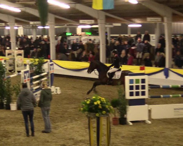 Reitturnier Vreden 2018