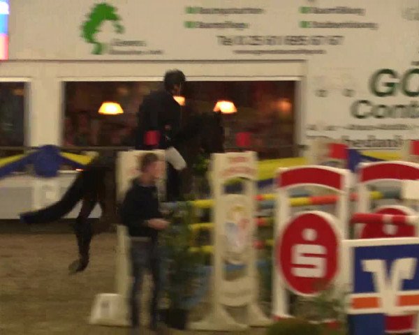 Reitturnier Vreden 2018