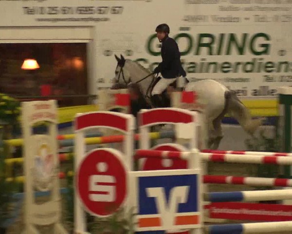 Reitturnier Vreden 2018