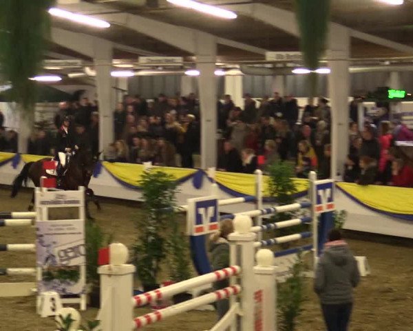 Reitturnier Vreden 2018