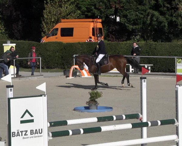 Reitturnier Durmersheim-Hardt 2021