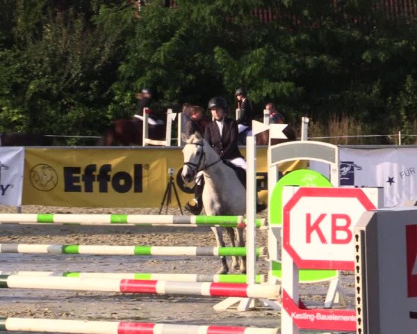 Reitturnier Ascheberg 2021