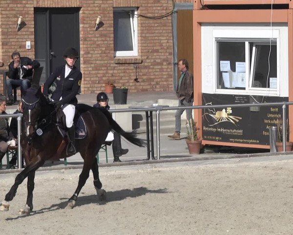 Reitturnier Durmersheim-Hardt 2021