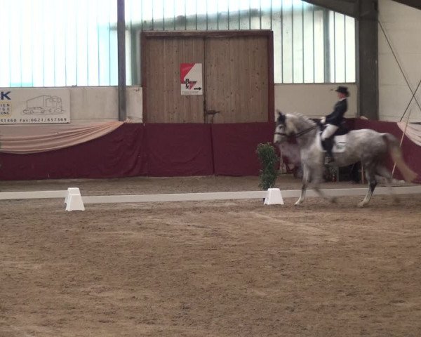 Reitturnier Eppelheim 2018