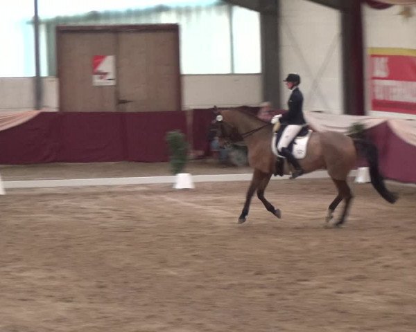 Reitturnier Eppelheim 2018