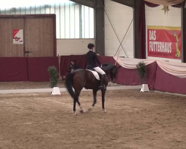 Reitturnier Eppelheim 2018