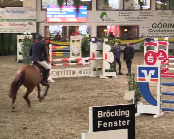 Reitturnier Vreden 2018