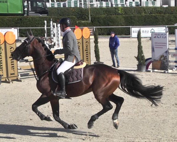Reitturnier Durmersheim-Hardt 2021